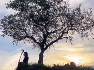 “又一年秋”都说秋天适合思念，其实更适合与你见面，《骏马之秋》